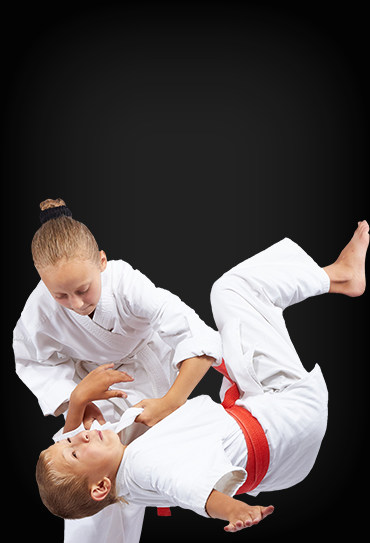kids adults judo program